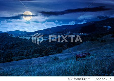brown horse grazing on lush field at night. serene rural landscape in full moon light. mountains alpine scenery during autumn. backdrop for sustainability fiction art or conservation mystery concepts brown horse grazing on lush field at night. serene rural landscape in full moon light. mountains alpine scenery during autumn. backdrop for sustainability fiction art or conservation mystery concepts 133483706