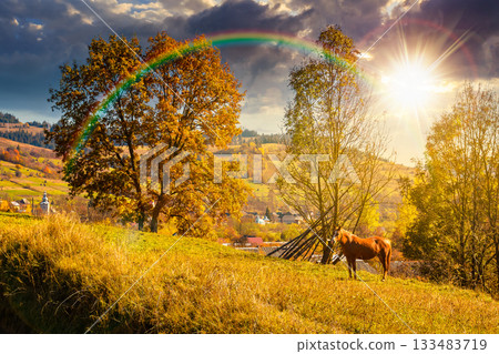 brown horse grazing on lush green field at sunset. serene rural landscape on a in evening light. mountains alpine scenery during autumn. leadership corporate wallpaper under the rainbow brown horse grazing on lush green field at sunset. serene rural landscape on a in evening light. mountains alpine scenery during autumn. leadership corporate wallpaper under the rainbow 133483719