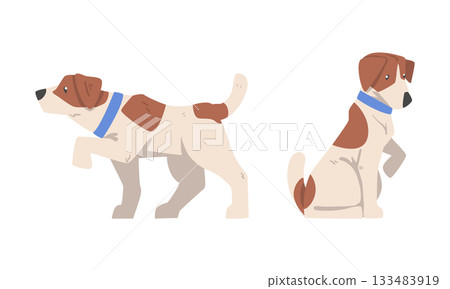 Beagle Dog Hound Breed with Brown Marking and Neck Collar Vector Set Beagle Dog Hound Breed with Brown Marking and Neck Collar Vector Set 133483919