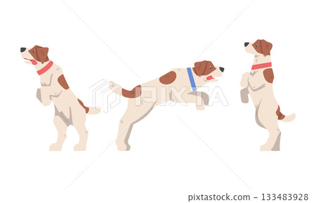 Beagle Dog Hound Breed with Brown Marking and Neck Collar Vector Set 133483928