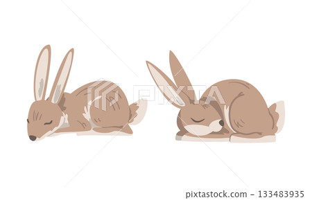 Hare or Jackrabbit as Animal with Long Ears and Grayish Brown Coat in Sleeping Pose Vector Set 133483935