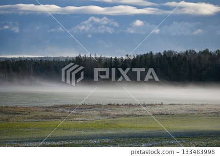 Wide Winter Fields Covered in Morning Mist Wide Winter Fields Covered in Morning Mist 133483998