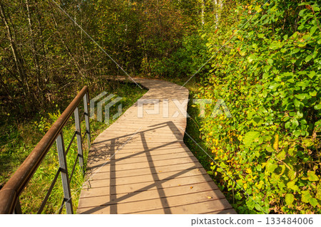 Wooden walkway through a serene forest during a sunny day. Sestroretskoye swamp eco trail, Leningrad Oblast, Saint Petersburg 133484006