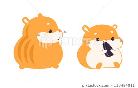 Cute Hamster Character with Stout Body Sitting and Eating Sunflower Seed Vector Set Cute Hamster Character with Stout Body Sitting and Eating Sunflower Seed Vector Set 133484011