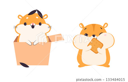 Cute Hamster Character with Stout Body Eating Cookie and Peeking from Cardboard Box Vector Set Cute Hamster Character with Stout Body Eating Cookie and Peeking from Cardboard Box Vector Set 133484015