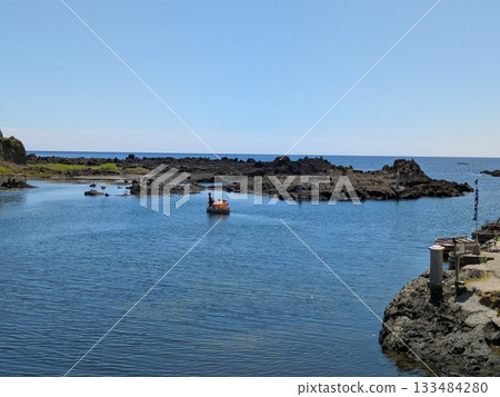 Landscape with tetrapod Landscape with tetrapod 133484280