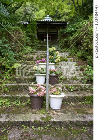 Temple scenery in Ikeda City Temple scenery in Ikeda City 133484447