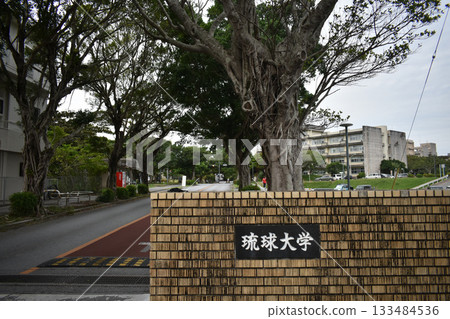 琉球大學 133484536