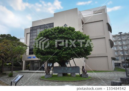 Ryukyu University 133484542
