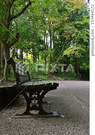 A place surrounded by greenery with benches that will make you want to take a deep breath 133484572
