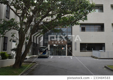 琉球大學 133484583