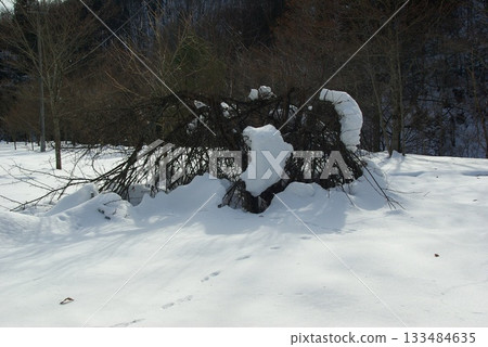 This is the snow accumulation on bridge piers and nearby houses near Shokawa IC in Takayama City, Gifu Prefecture, in the middle of winter. 133484635