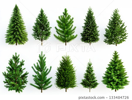 Collection set of festive pine tree Christmas on a white isolated background . Collection set of festive pine tree Christmas on a white isolated background . 133484726