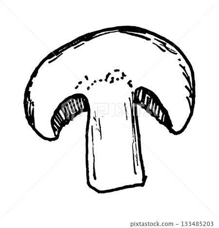 Detailed black and white line art illustration of a mushroom cap and stem. Ideal for pizza toppings, soups, salads, risotto and vegetarian food graphics for menus and recipes. 133485203