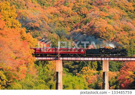 Nagatoro in autumn with beautiful autumn leaves Nagatoro in autumn with beautiful autumn leaves 133485759