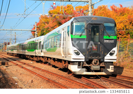 E257系列5500型列車在秋季行駛於奧姆線。 133485811