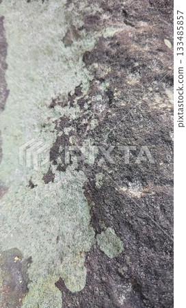 長滿青苔的岩石 133485857