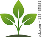 A simple green plant icon showing three fresh leaves growing from soil symbolizing nature growth 133485881