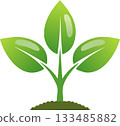 A clean graphic of a young plant with three vibrant leaves rising from the ground representing natural growth 133485882
