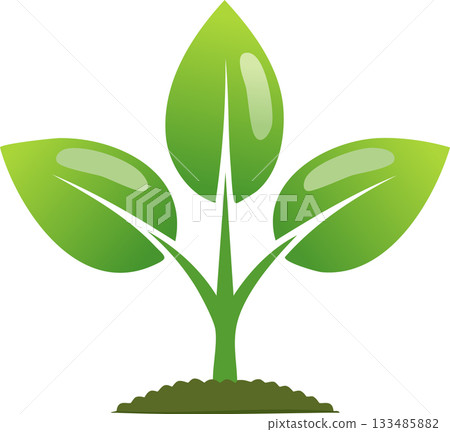 A clean graphic of a young plant with three vibrant leaves rising from the ground representing natural growth 133485882