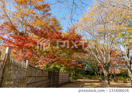 Shiobara Onsen dyed in autumn leaves Shiobara Onsen dyed in autumn leaves 133486026
