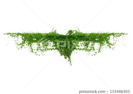 vine frame leaf vine isolates on a white background 133486303