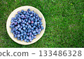 Fresh Blueberries in Wooden Bowl on Green Grass Background 133486328