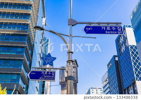 Seoul Gangnam Garosugil (Tree Street) sign 133486338