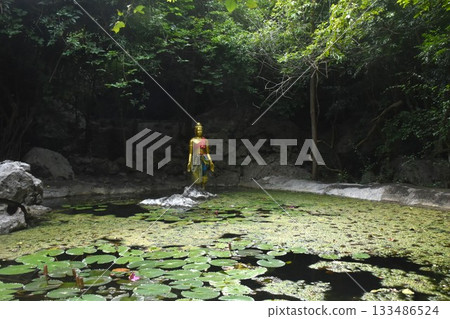 The golden conch statue of in lotus flower pond at Nang Phanthurat mountain forest park travel location in Thailand 133486524