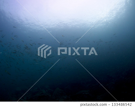 天空抬頭望著大海 天空抬頭望著大海 133486542