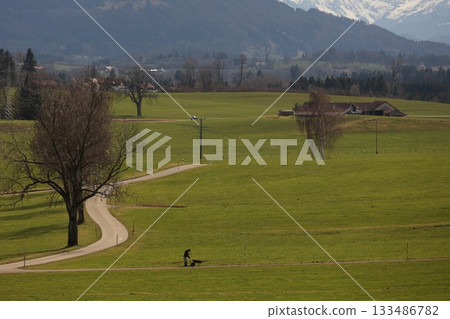 A man is riding a bike on a road in a grassy field A man is riding a bike on a road in a grassy field 133486782