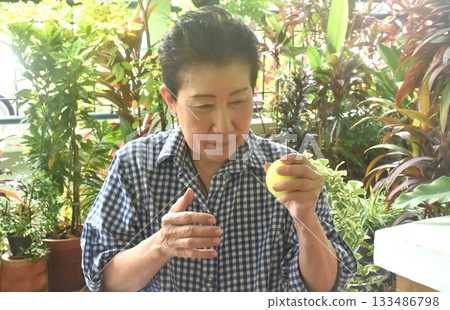 Asain elder woman thrown and dropping yellow tennis ball for exercise in home front yard 133486798