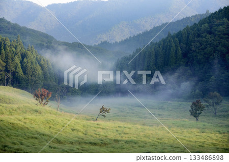 Morning scenery of Tonomine Plateau 133486898