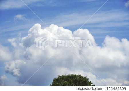 托諾米內高原的清晨景色 133486899