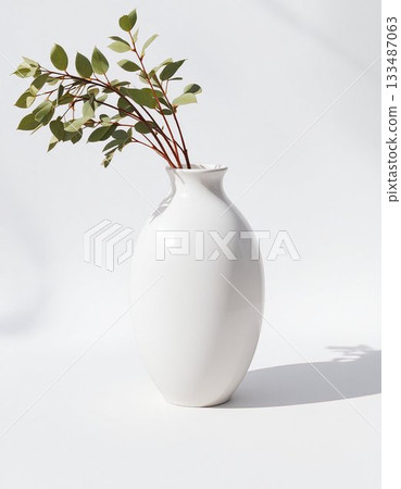 plant in vase plant in vase 133487063