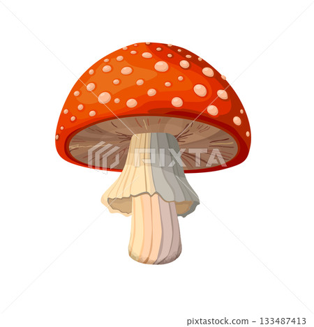 Amanita Muscaria mushroom vector 133487413