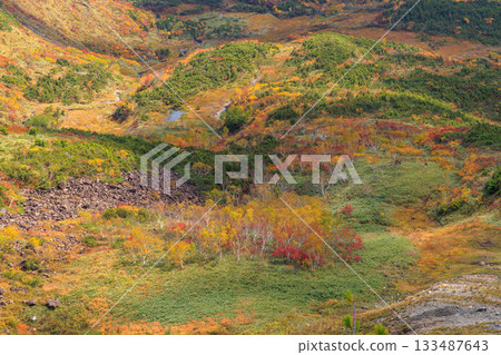 Beautiful autumn foliage seen from Hakuba's Happo-one ridge in autumn Beautiful autumn foliage seen from Hakuba's Happo-one ridge in autumn 133487643