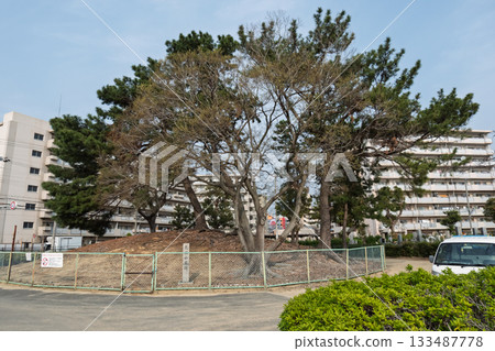 花塚山墓全景 花塚山墓全景 133487778