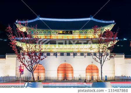 首爾點亮光化門 首爾點亮光化門 133487868