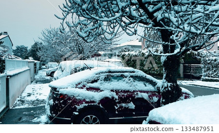 Fresh snow covering cars, trees, and a quiet residential street in Seyssins near Grenoble, showing rare early-winter weather conditions in November, France Fresh snow covering cars, trees, and a quiet residential street in Seyssins near Grenoble, showing rare early-winter weather conditions in November, France 133487951
