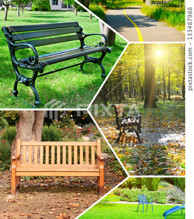 Seasons and Scenery: Park Benches and Pathways Collage 133487988