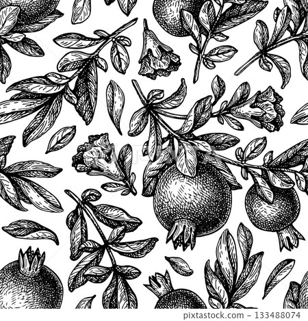Pomegranate seamless pattern. Ink sketch. Pomegranate seamless pattern. Ink sketch. 133488074