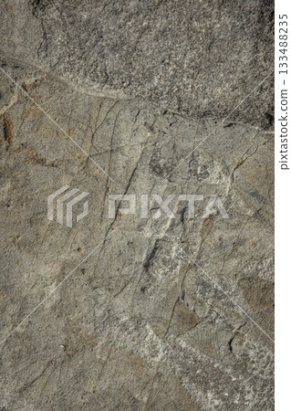 Close-up of rock surface, inorganic gray texture material 133488235