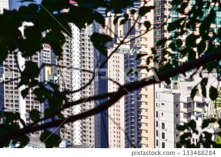 The view of Hong Kong cityscape from the Peak of Hong Kong. Beautiful and stunning view of Hong Kong. Hong Kong Cityscape and skyline. The view of Hong Kong cityscape from the Peak of Hong Kong. Beautiful and stunning view of Hong Kong. Hong Kong Cityscape and skyline. 133488284