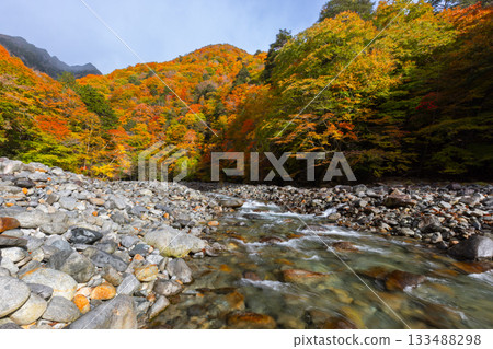 山梨縣山梨市三富川浦：笛吹川的流水和西澤谷二又吊橋附近的秋葉 133488298