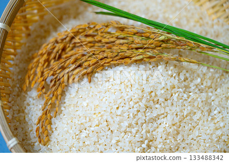 Rice grains in a wooden basket with a ear of rice. Healthy natural food in Korea 133488342