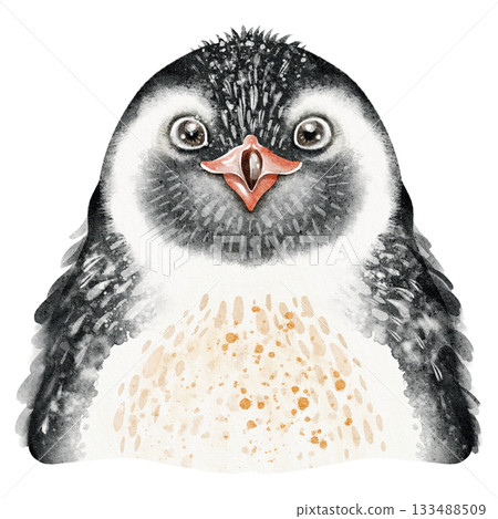 Emperor Penguin Watercolor Portrait 133488509