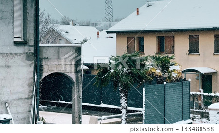 Palm trees and residential houses in Seyssins near Grenoble during active snowfall, showing an unusual winter weather scene with snow covering roofs and garden areas, France Palm trees and residential houses in Seyssins near Grenoble during active snowfall, showing an unusual winter weather scene with snow covering roofs and garden areas, France 133488538