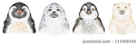 Polar Animals Portraits Watercolor Illustration 133488548