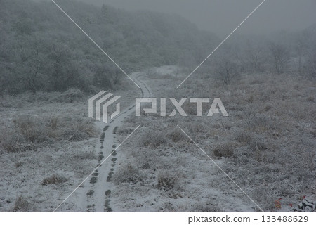 積雪覆蓋的河床上仍然留有車轍，一直延伸到視線盡頭。 133488629